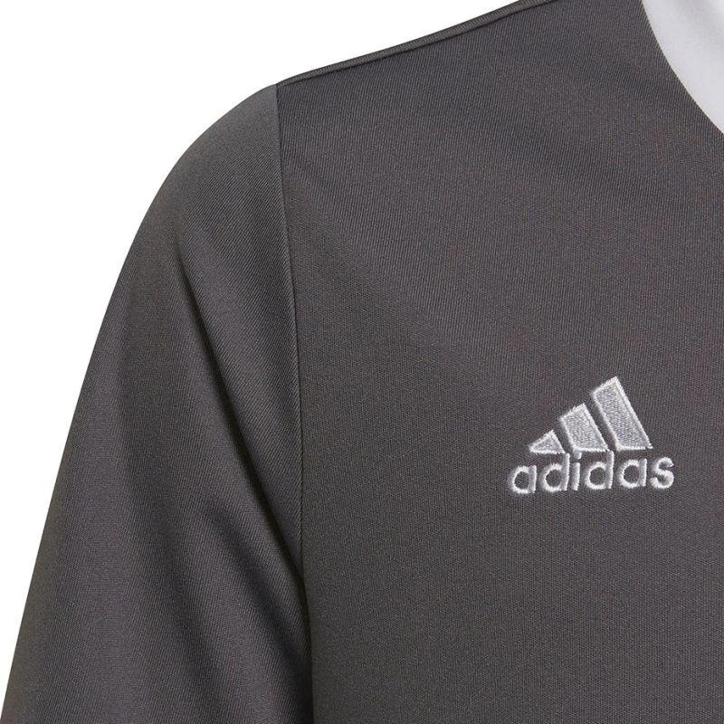 Adidas Entrada 22 Jsy Jr Marškinėliai H57499