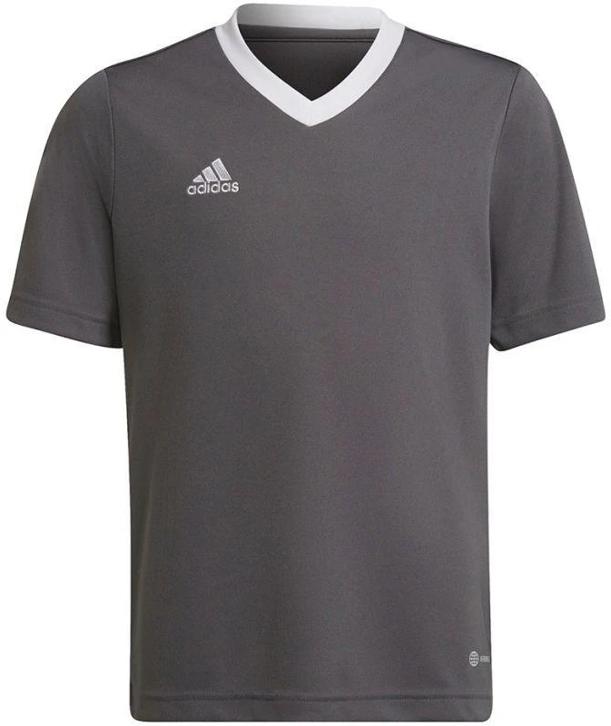 Adidas Entrada 22 Jsy Jr Marškinėliai H57499