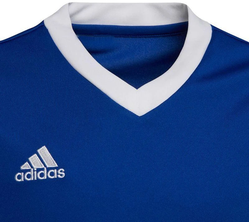 Adidas Entrada 22 Jsy Jr Marškinėliai HG3948