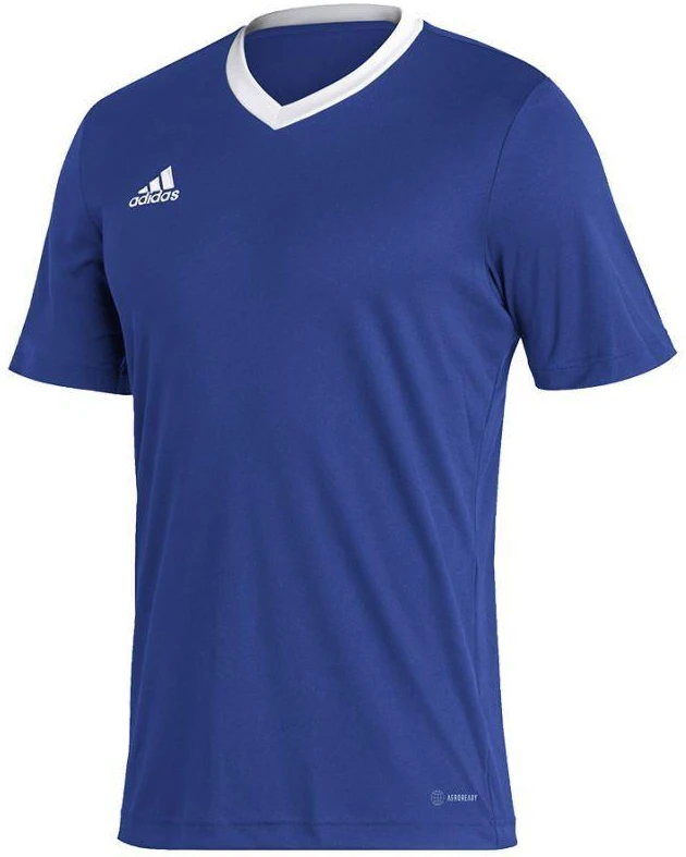 Adidas Entrada 22 JSY M Marškinėliai HG6283
