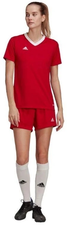 Adidas Entrada 22 Jsy W marškinėli H57571