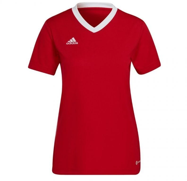 Adidas Entrada 22 Jsy W marškinėli H57571