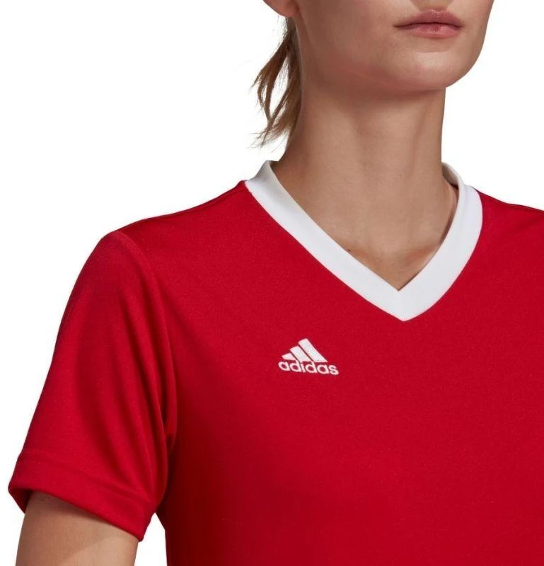 Adidas Entrada 22 Jsy W marškinėli H57571