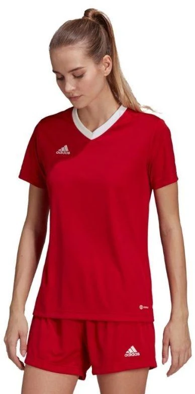 Adidas Entrada 22 Jsy W marškinėli H57571