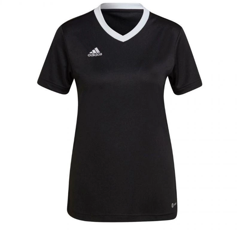 Adidas Entrada 22 Jsy W Marškinėliai H57572
