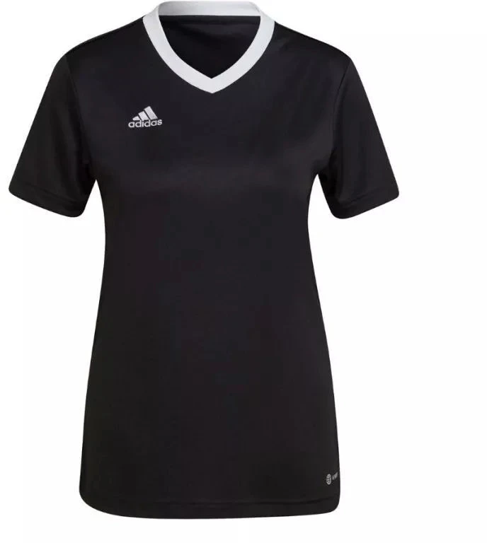 Adidas Entrada 22 Jsy W Marškinėliai H57572