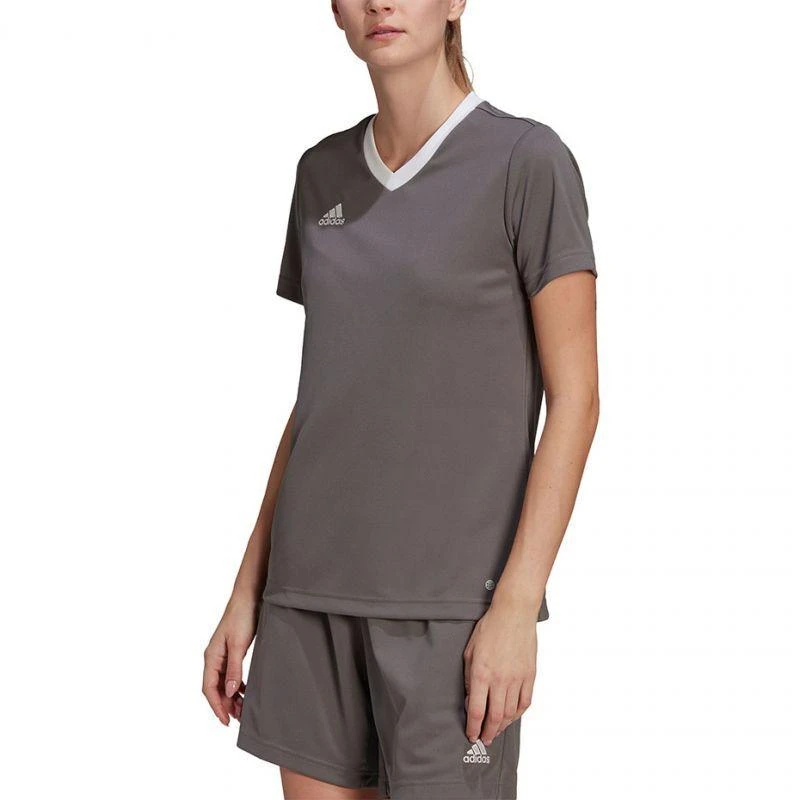 Adidas Entrada 22 Jsy W Marškinėliai H59848