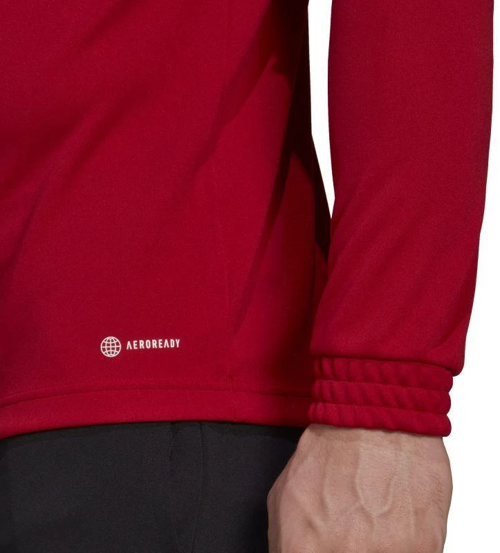 Adidas Entrada 22 M džemperis H57556