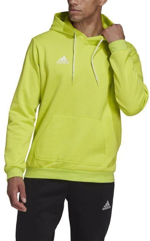 Adidas Entrada 22 M džemperis HC5083