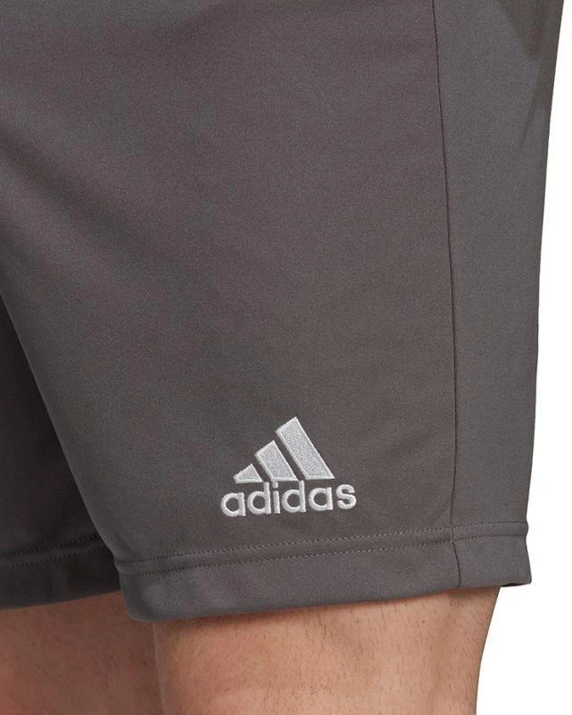 Adidas Entrada 22 M H57505 šortai