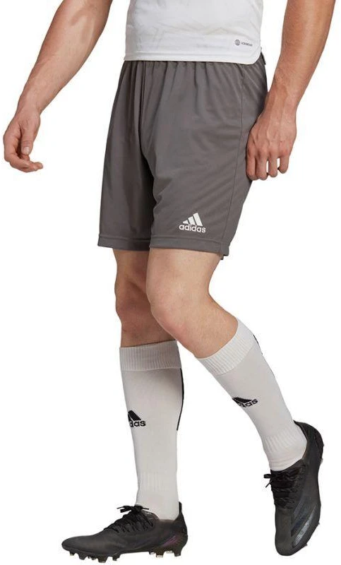 Adidas Entrada 22 M H57505 šortai
