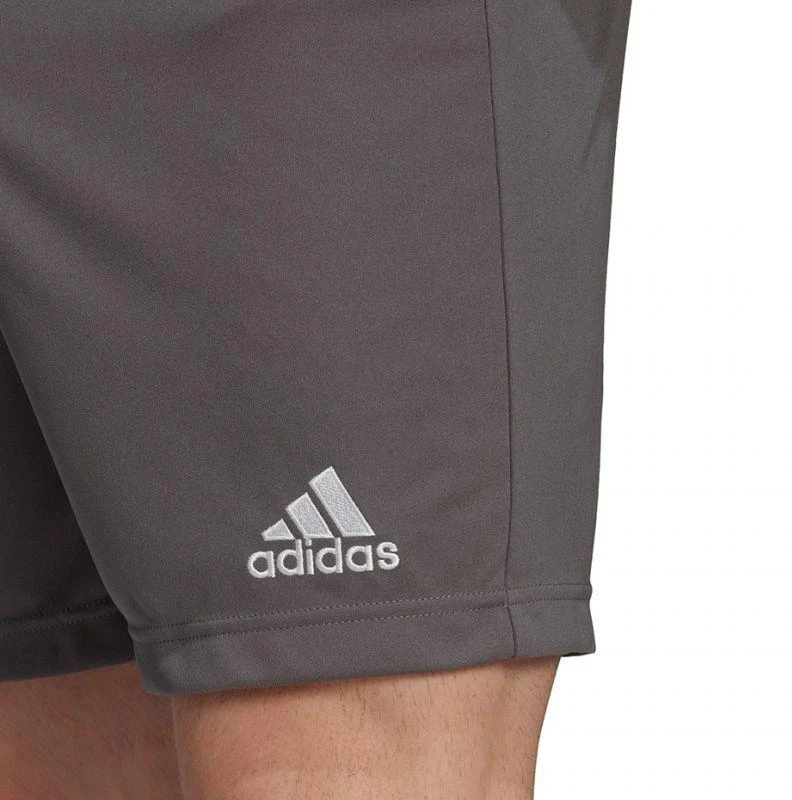 Adidas Entrada 22 M H57505 šortai