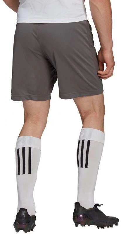 Adidas Entrada 22 M H57505 šortai