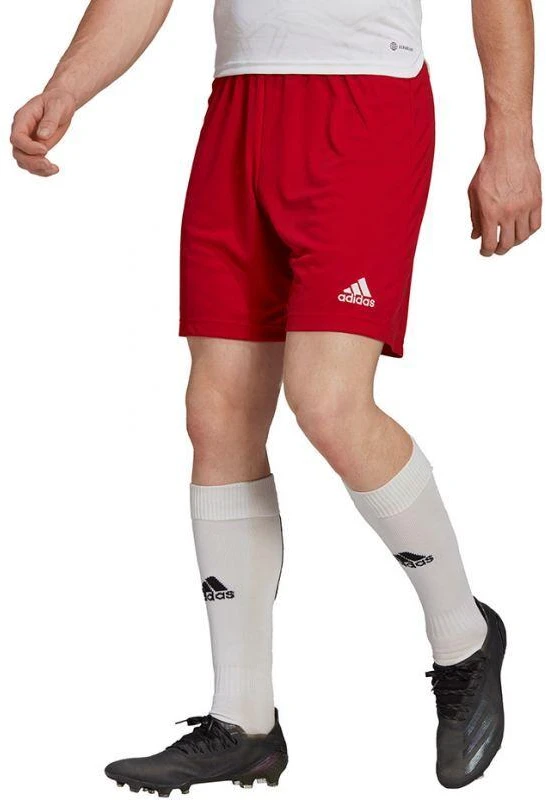 Adidas Entrada 22 M H61735 šortai