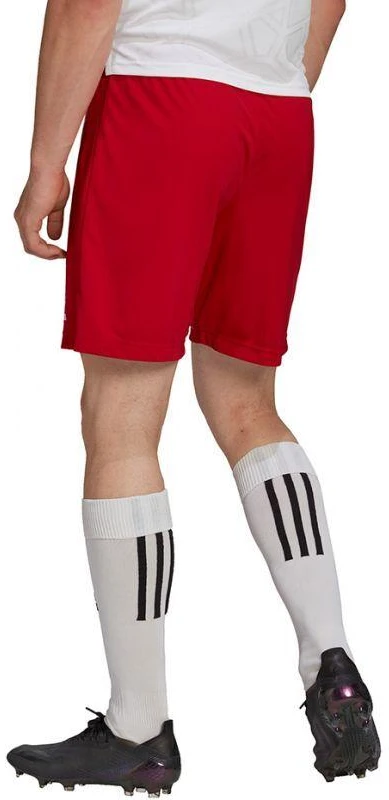 Adidas Entrada 22 M H61735 šortai