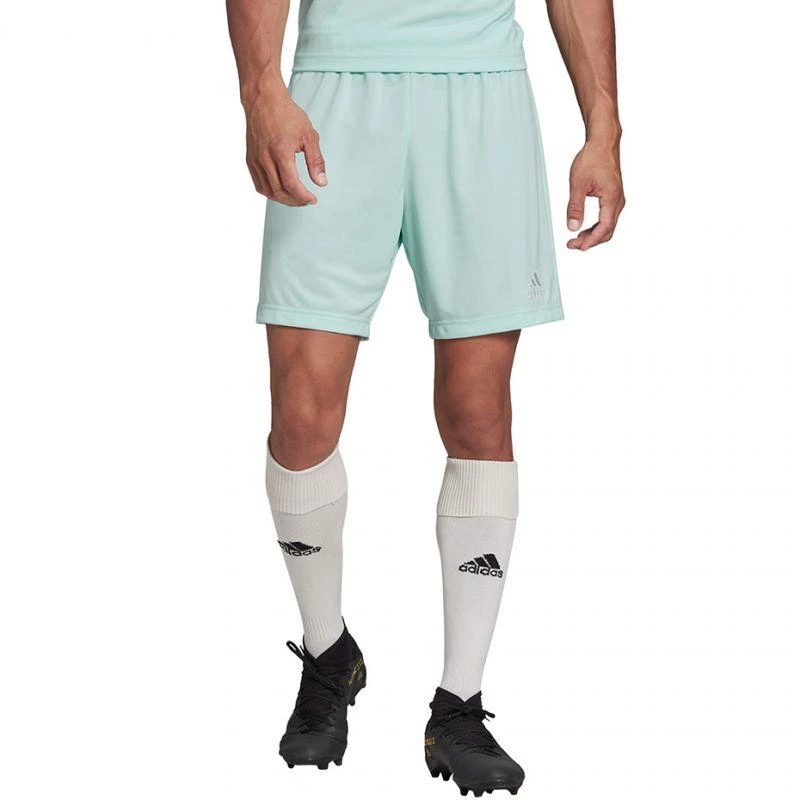 Adidas Entrada 22 M HC5051 šortai