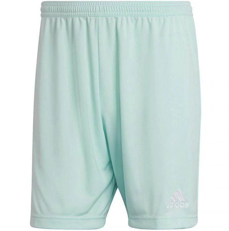 Adidas Entrada 22 M HC5051 šortai