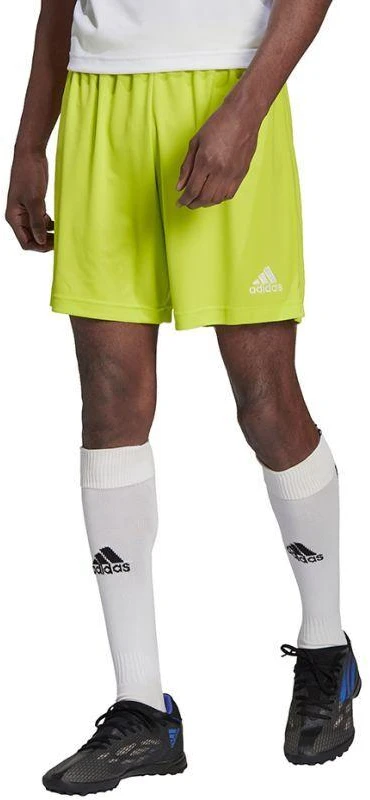 Adidas Entrada 22 M HC5061 Šortai
