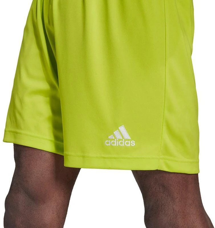 Adidas Entrada 22 M HC5061 Šortai