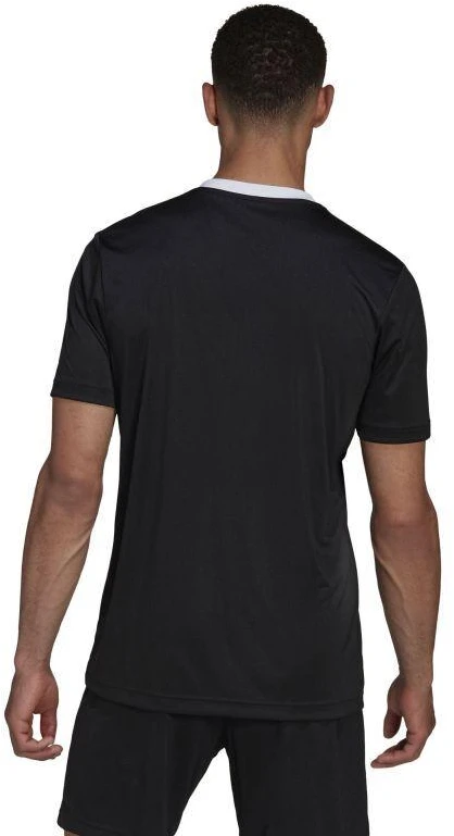 Adidas Entrada 22 M HE1573 Marškinėliai