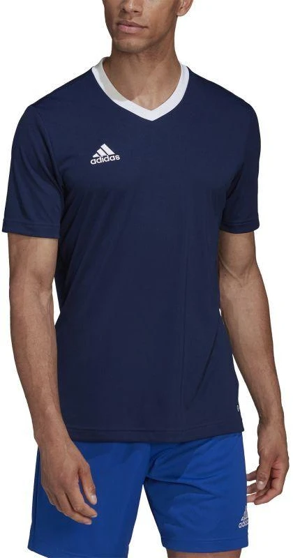 Adidas Entrada 22 M HE1575 Marškinėliai