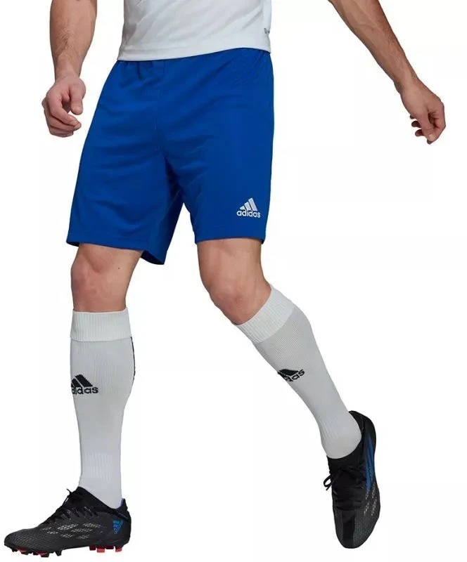 Adidas Entrada 22 M HG6294 šortai