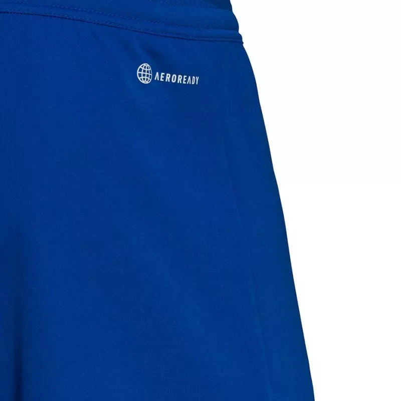 Adidas Entrada 22 M HG6294 šortai
