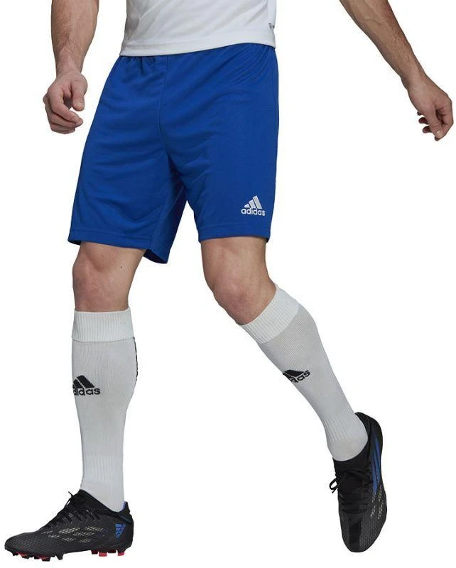 Adidas Entrada 22 M HG6294 šortai