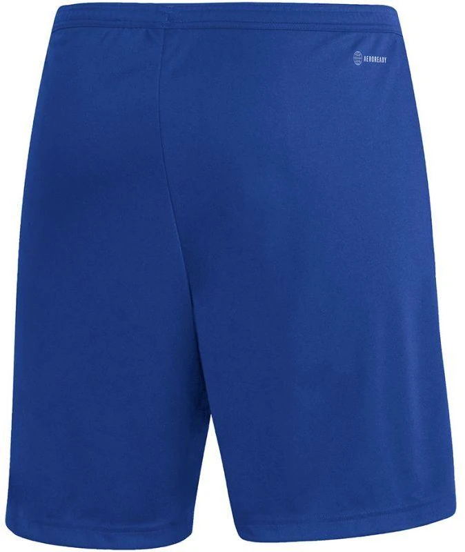Adidas Entrada 22 M HG6294 šortai
