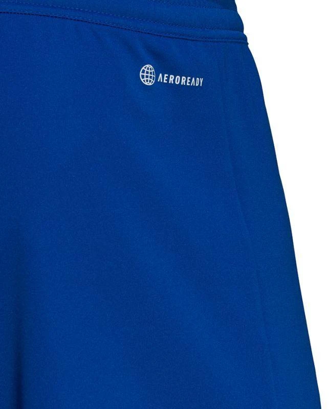 Adidas Entrada 22 M HG6294 šortai