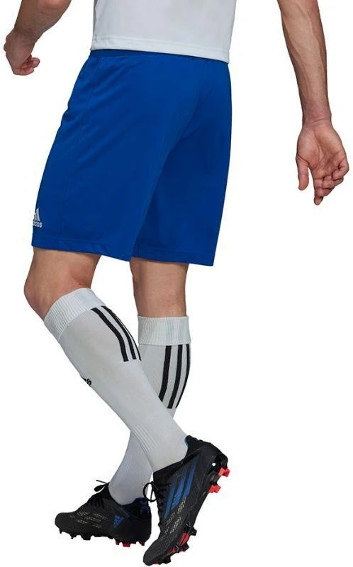 Adidas Entrada 22 M HG6294 šortai