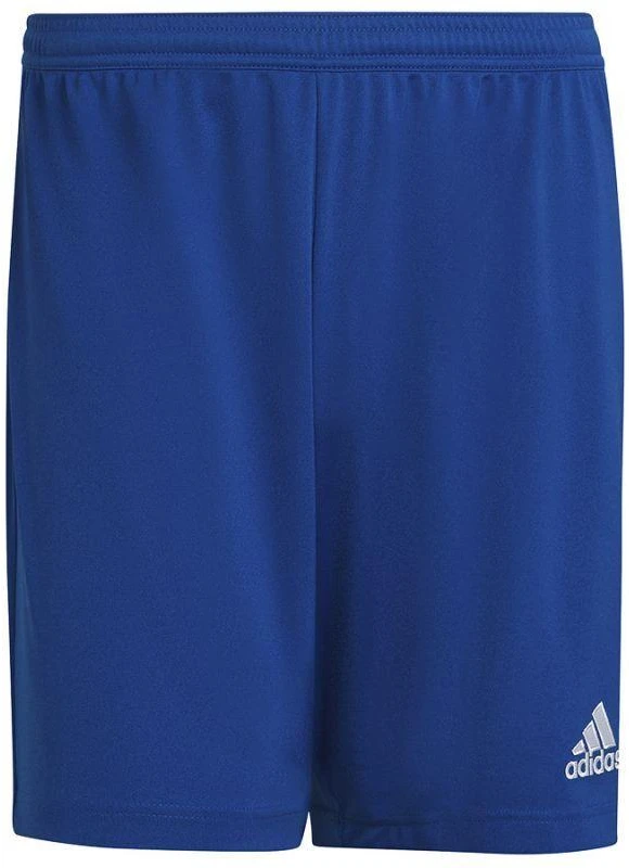 Adidas Entrada 22 M HG6294 šortai