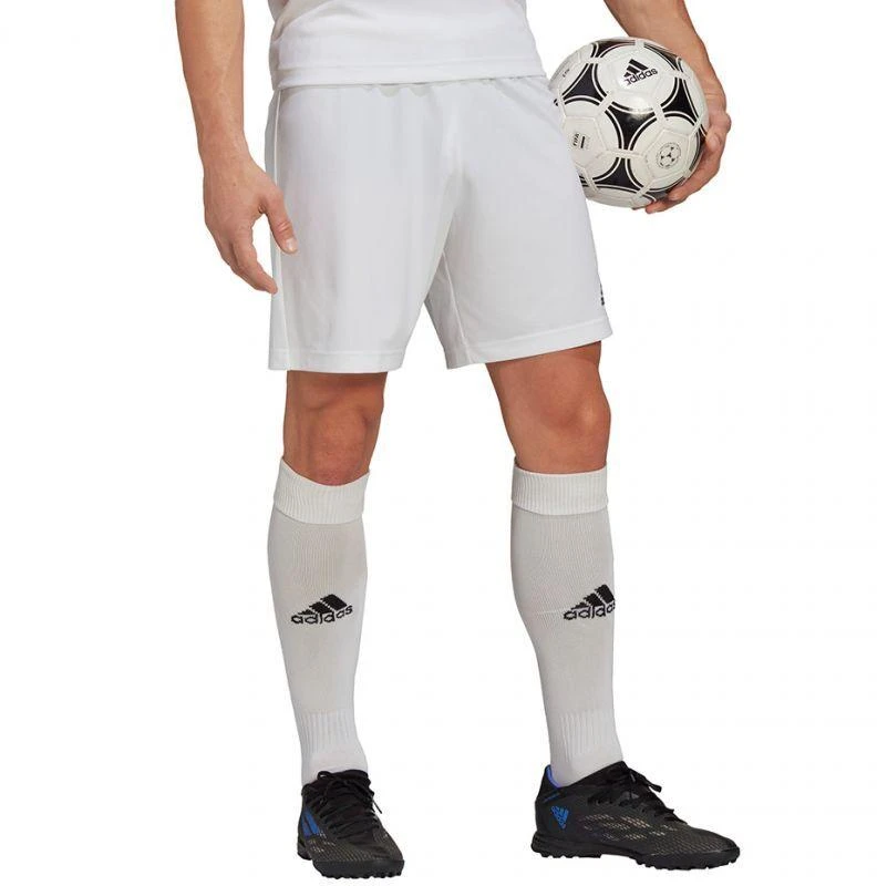 Adidas Entrada 22 M HG6295 šortai