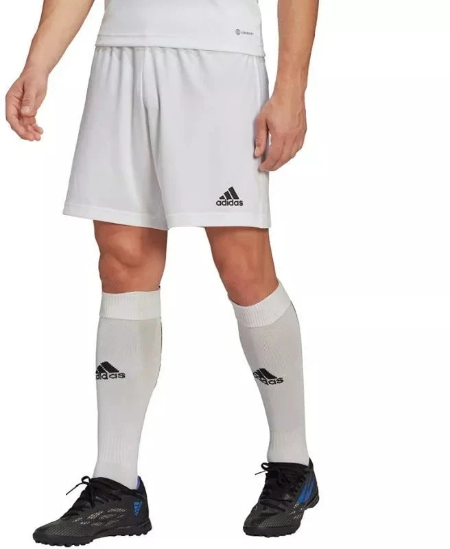 Adidas Entrada 22 M HG6295 šortai