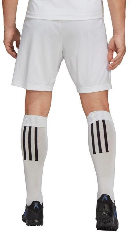 Adidas Entrada 22 M HG6295 šortai