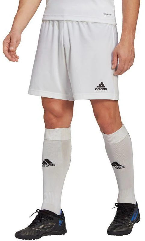 Adidas Entrada 22 M HG6295 šortai