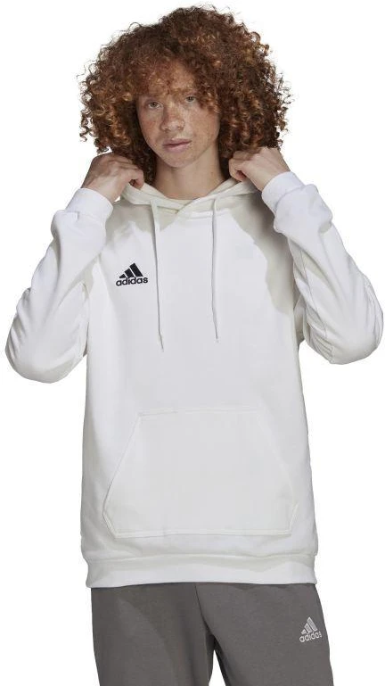 Adidas Entrada 22 M HG6302 džemperis