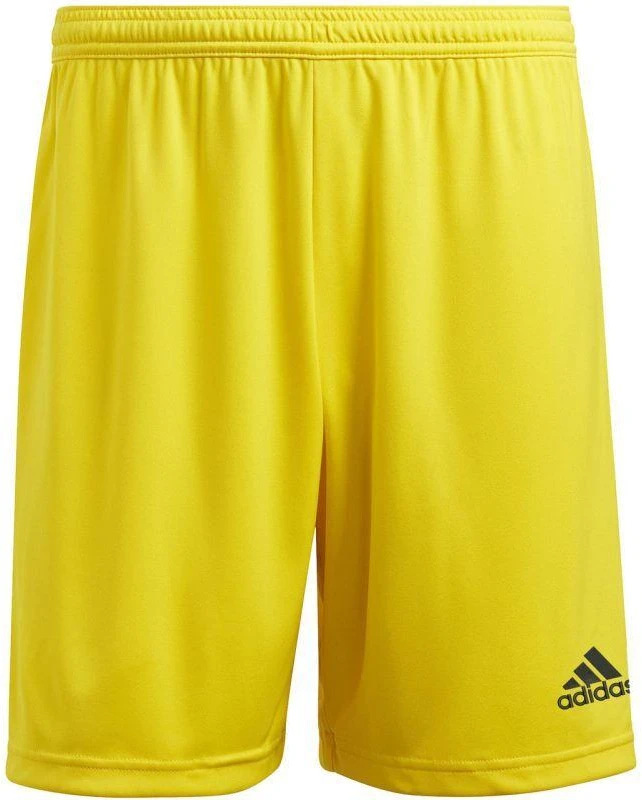 adidas Entrada 22 M IC7404 šortai