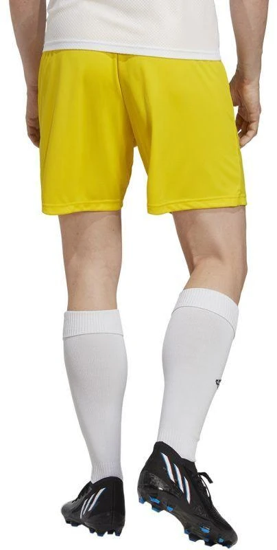 adidas Entrada 22 M IC7404 šortai
