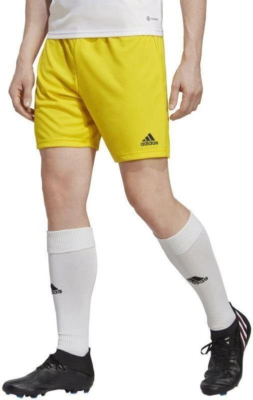 adidas Entrada 22 M IC7404 šortai