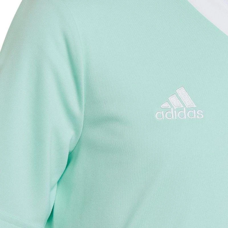 adidas Entrada 22 Marškinėliai Jr HC5078