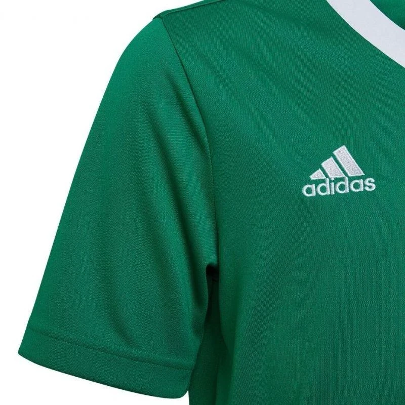 adidas Entrada 22 Marškinėliai Jr HI2126