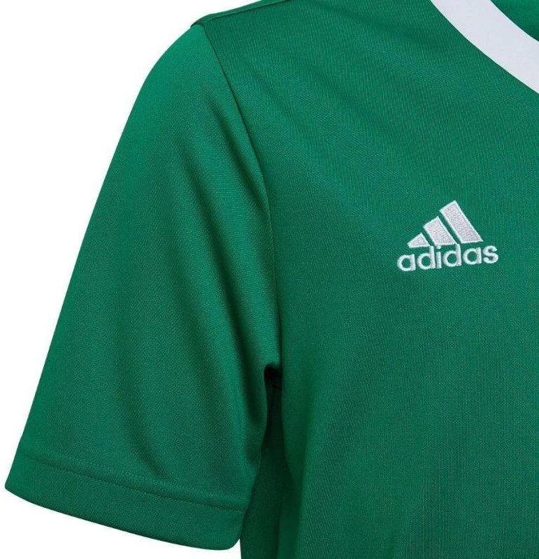 adidas Entrada 22 Marškinėliai Jr HI2126
