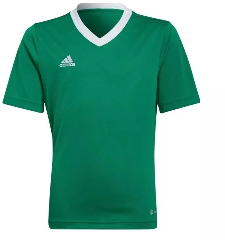 adidas Entrada 22 Marškinėliai Jr HI2126