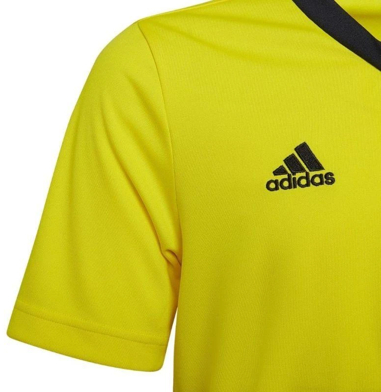 adidas Entrada 22 marškinėliai Jr HI2127