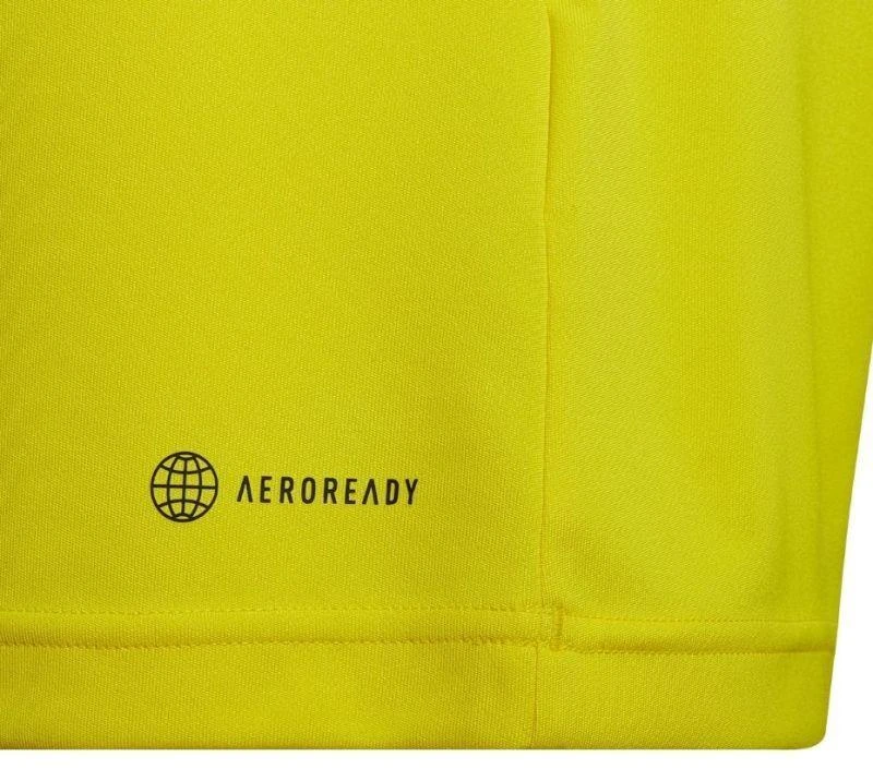 adidas Entrada 22 marškinėliai Jr HI2127