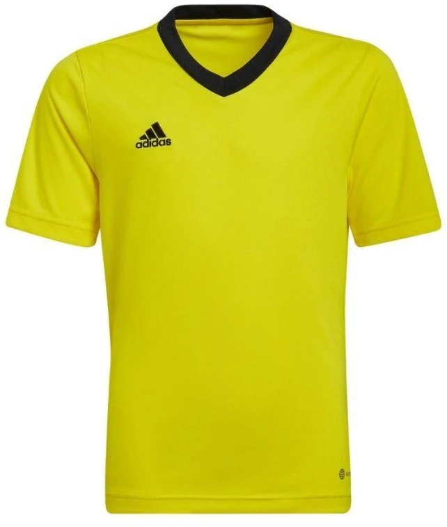 adidas Entrada 22 marškinėliai Jr HI2127