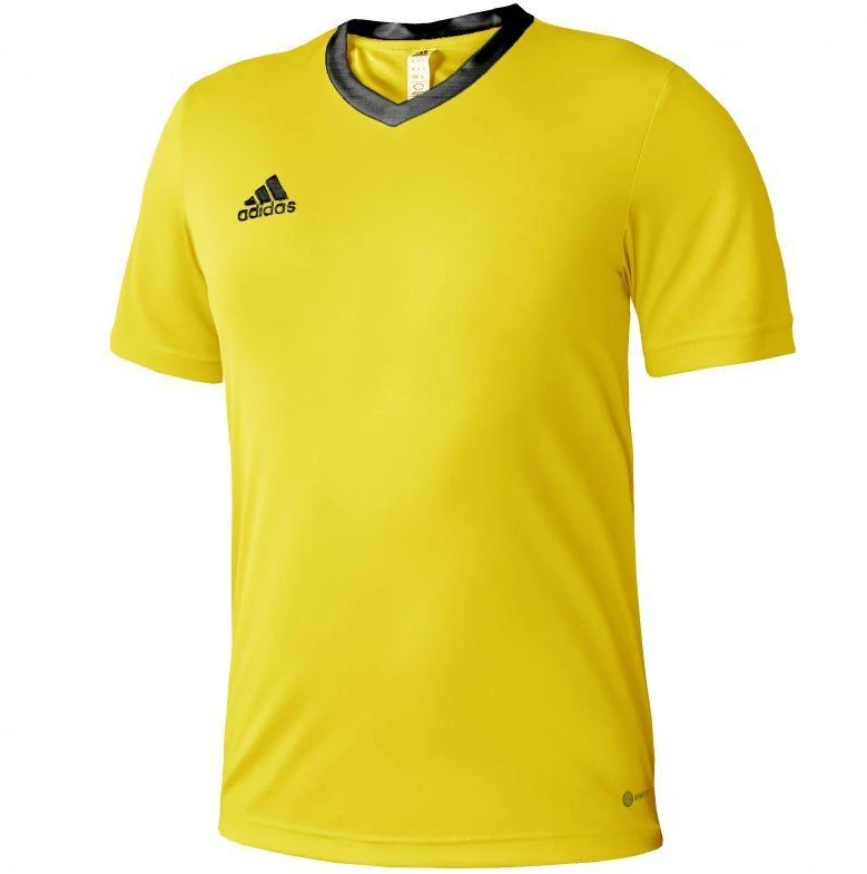 adidas Entrada 22 marškinėliai Jr HI2127