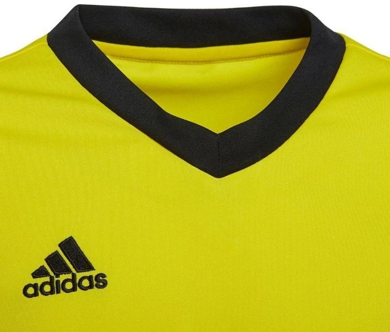 adidas Entrada 22 marškinėliai Jr HI2127