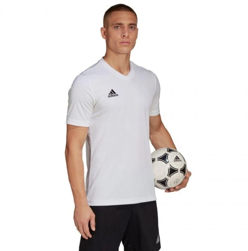 adidas Entrada 22 marškinėliai M HC5071